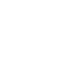 Titanium Implants